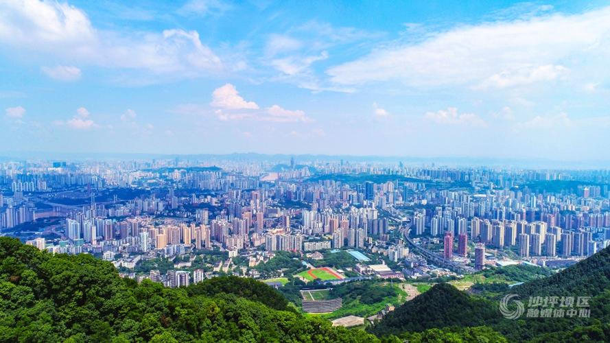 今年上半年,数字重庆建设大会提出,聚焦"一年形成重点能力,三年形成