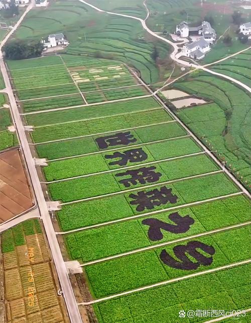 93万元!这串数字一出来,我估计不少人得瞪大眼睛